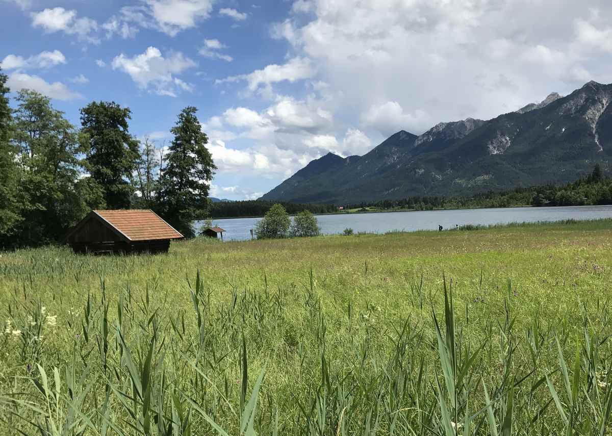 Am Barmsee wandern - am See entlang und an den schönen Mooren