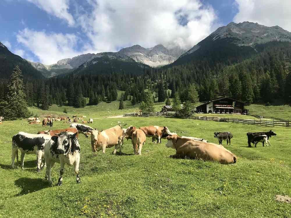 Wettersteingebirge wandern