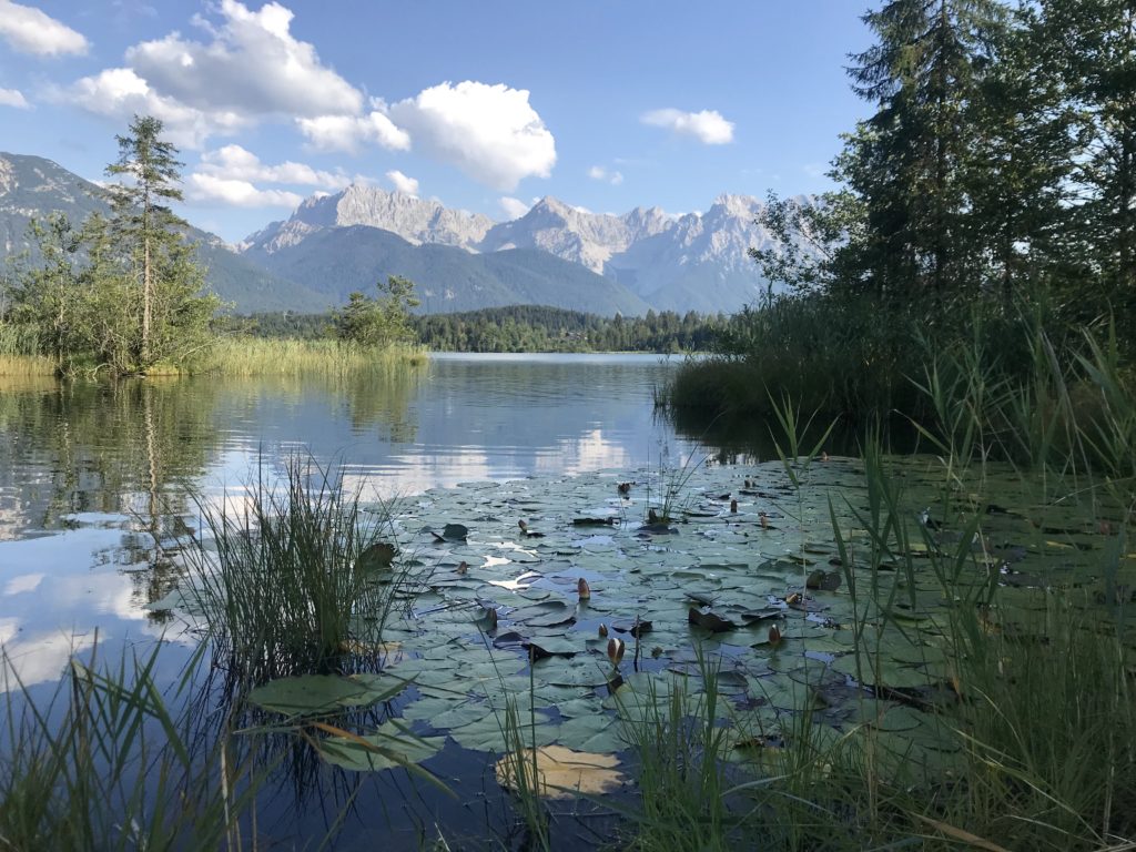 Idyllische Badestelle mit Seerosen und Blick auf das Karwendel