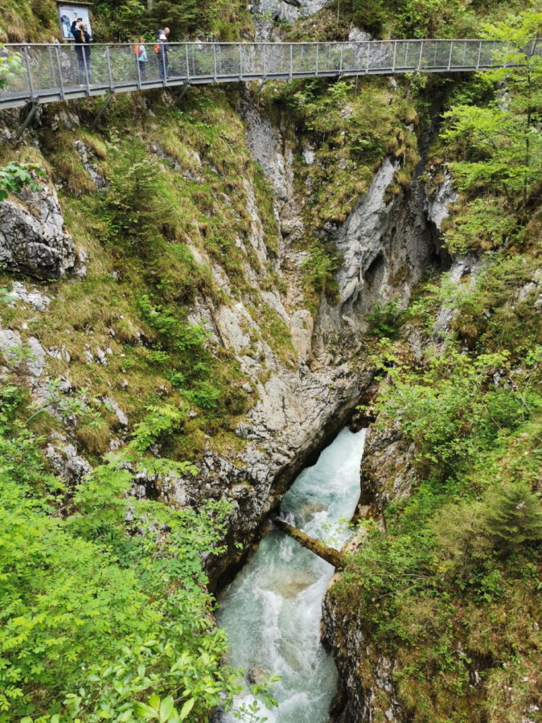 Der Steig aus Metallgittern führt dich oberhalb des Wassers durch die Leutaschklamm