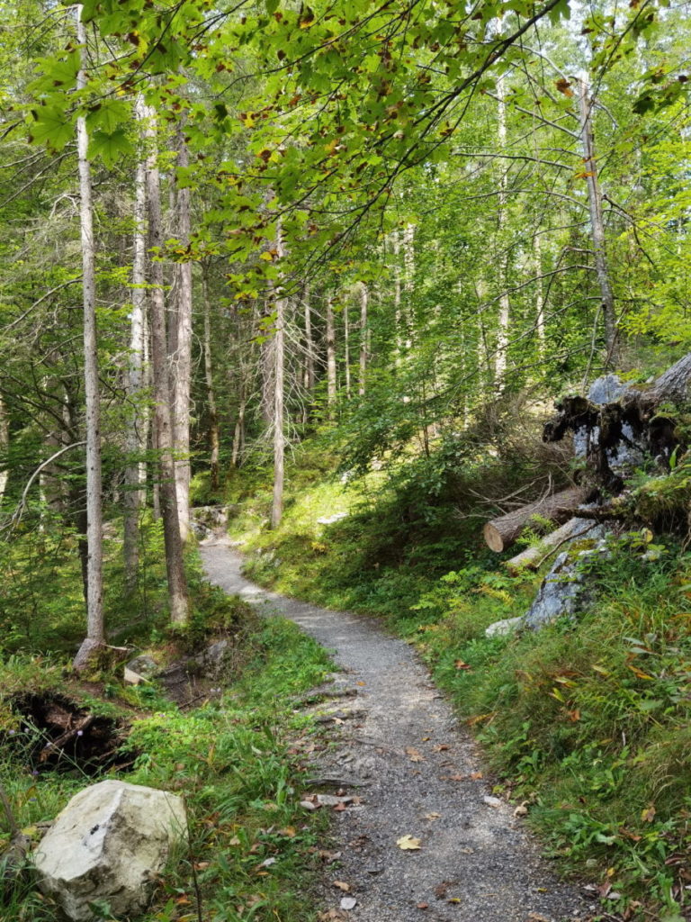 Durch den Wald zum Badersee wandern