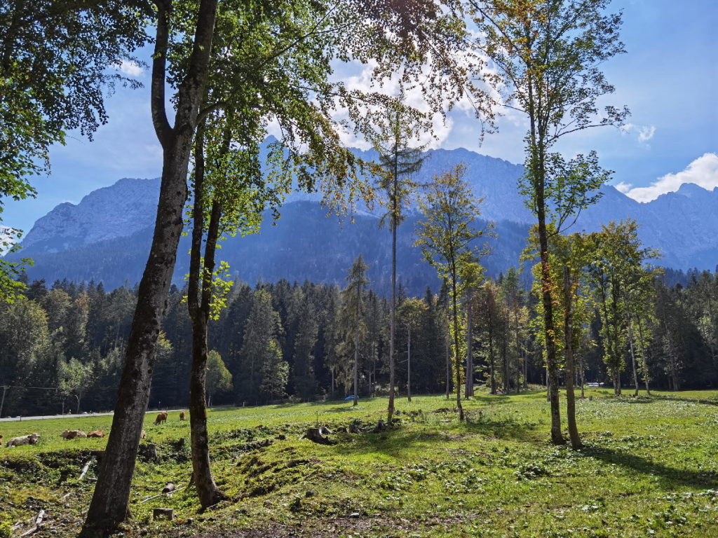 Blick auf das Wettersteingebirge auf der Badersee Wanderung zum Eibsee