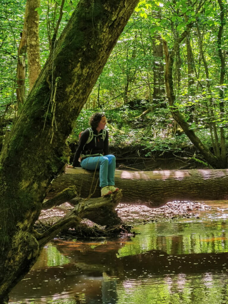 Klamm Bayern - die Maisinger Schlucht am Starnberger See